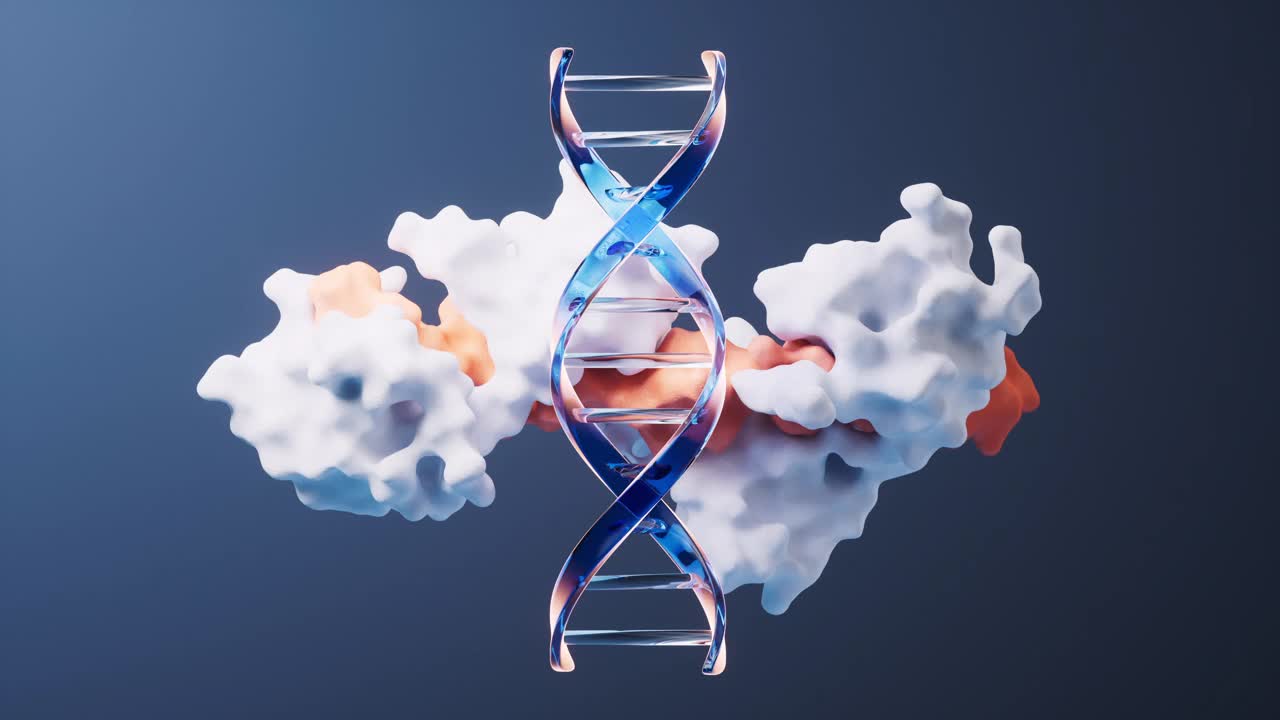 DNA和蛋白质的循环动画与生物概念，3d渲染。视频下载