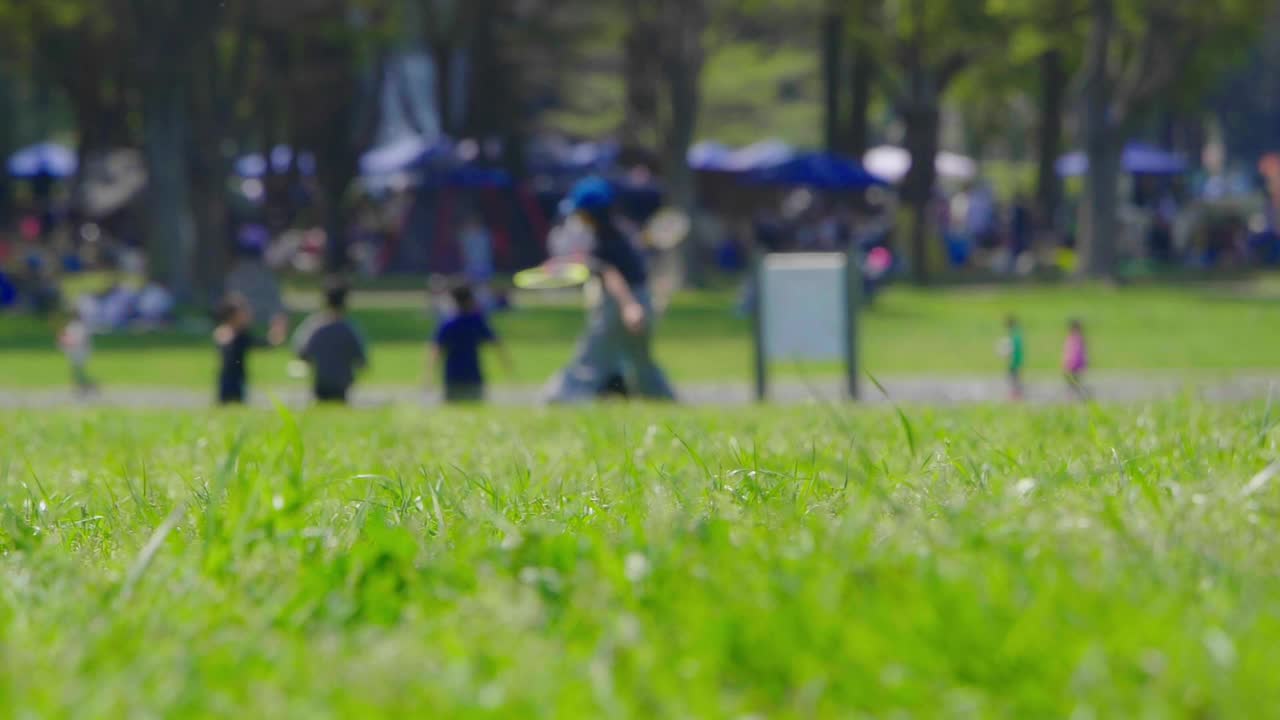 人们在春天的公园里玩耍视频下载