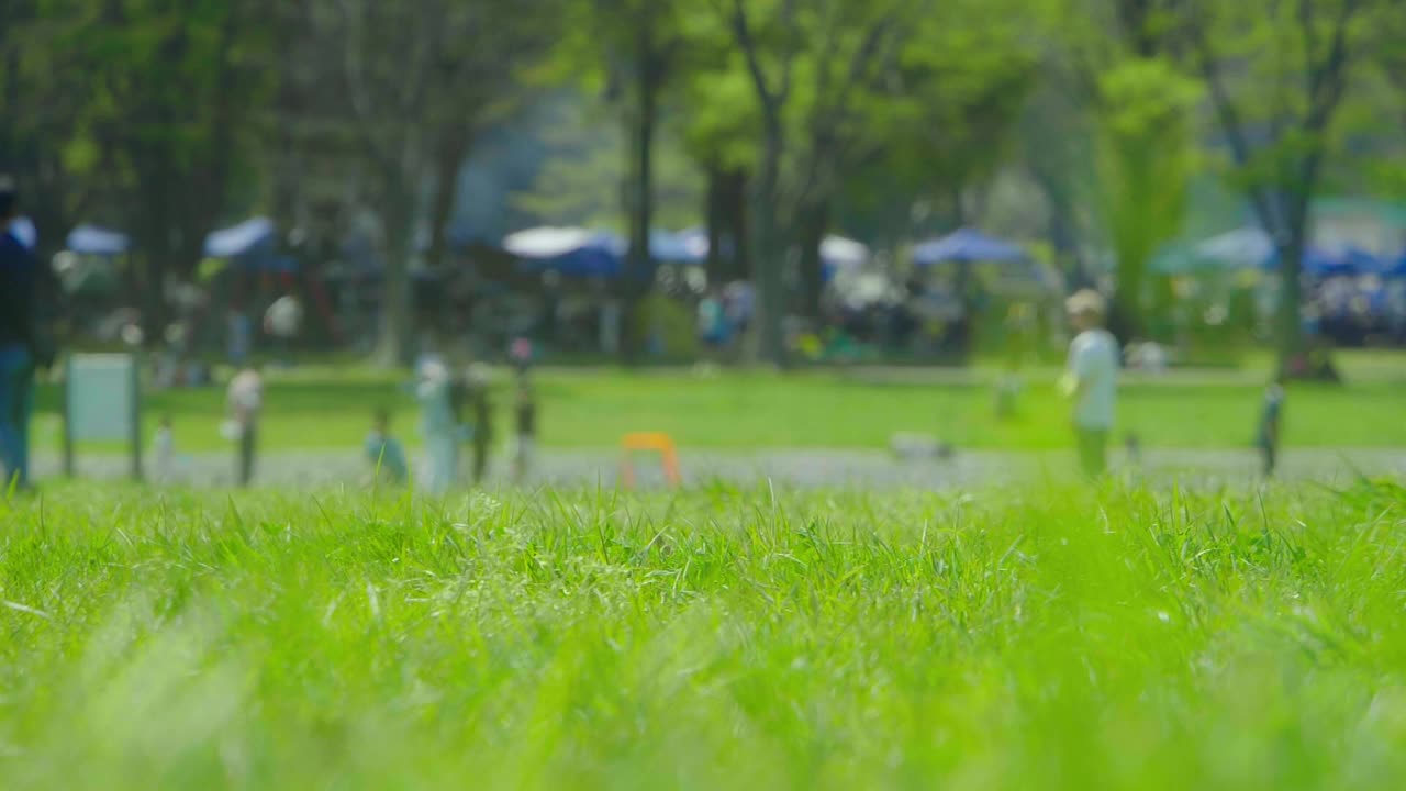 人们在春天的公园里玩耍视频下载