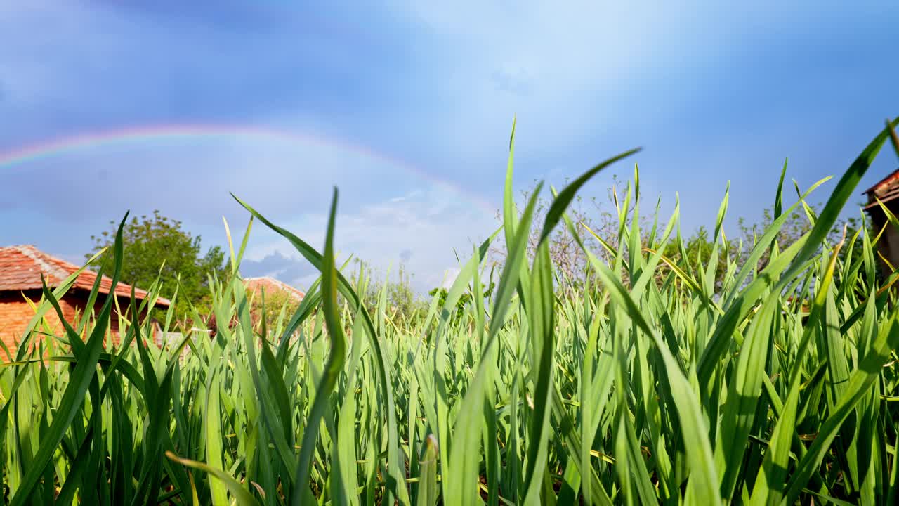 雨后的彩虹出现在保加利亚农村的农田里视频下载