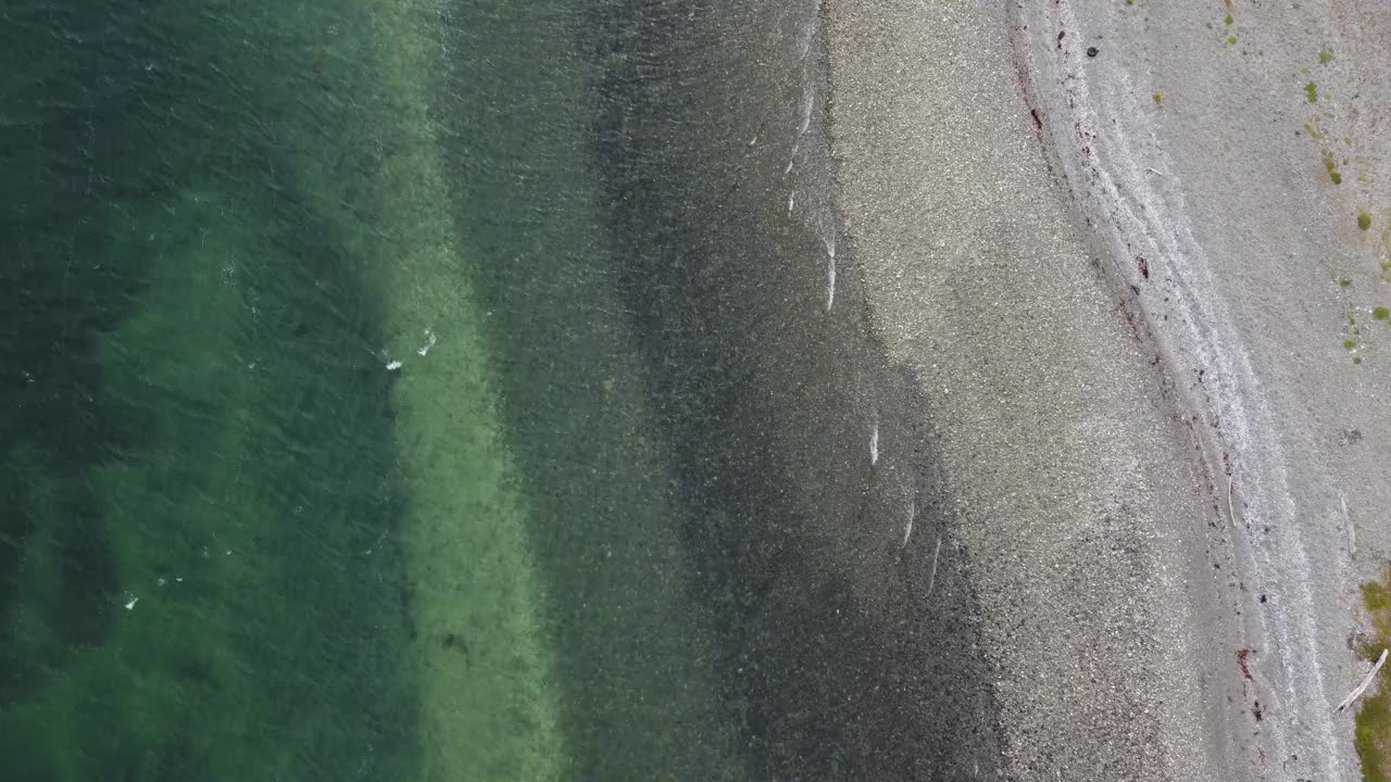 巴塔哥尼亚比格尔海峡的白色卵石滩和绿色的小波浪的近景视频下载