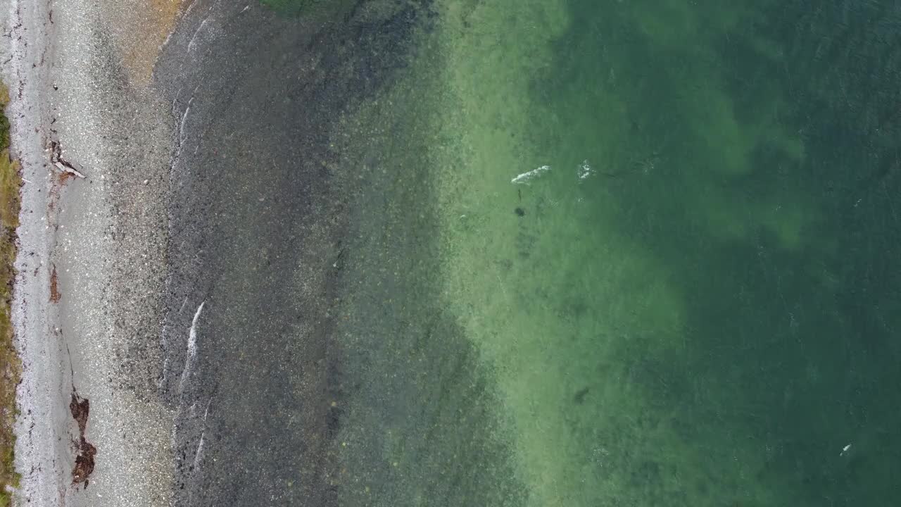 巴塔哥尼亚比格尔海峡的白色卵石滩和绿色海浪的特写镜头。视频下载