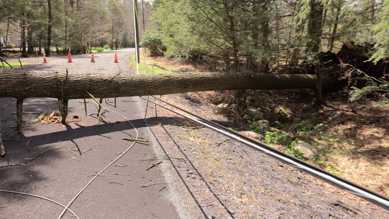 树林里有路障，无能为力:树木倒塌切断了最近定居点的电力供应。手持拍摄的视频下载