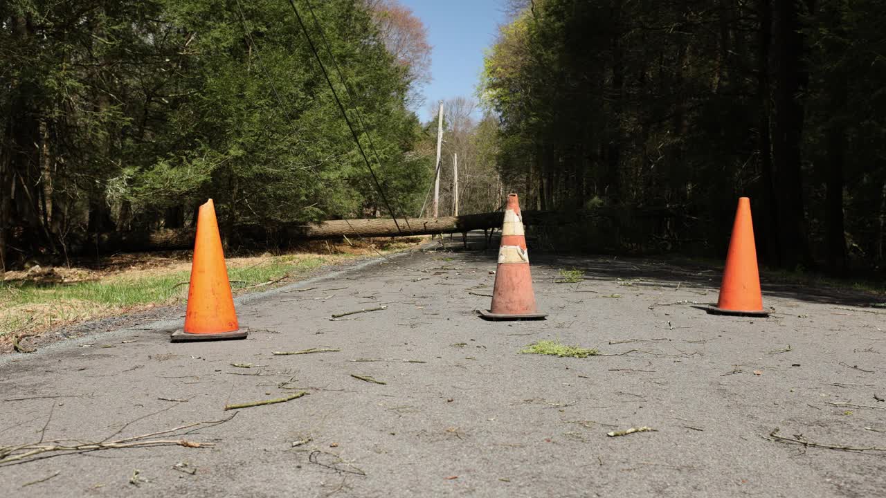 由于树木倒下的问题，道路锥挡住了道路。飓风之后。手持拍摄的视频下载