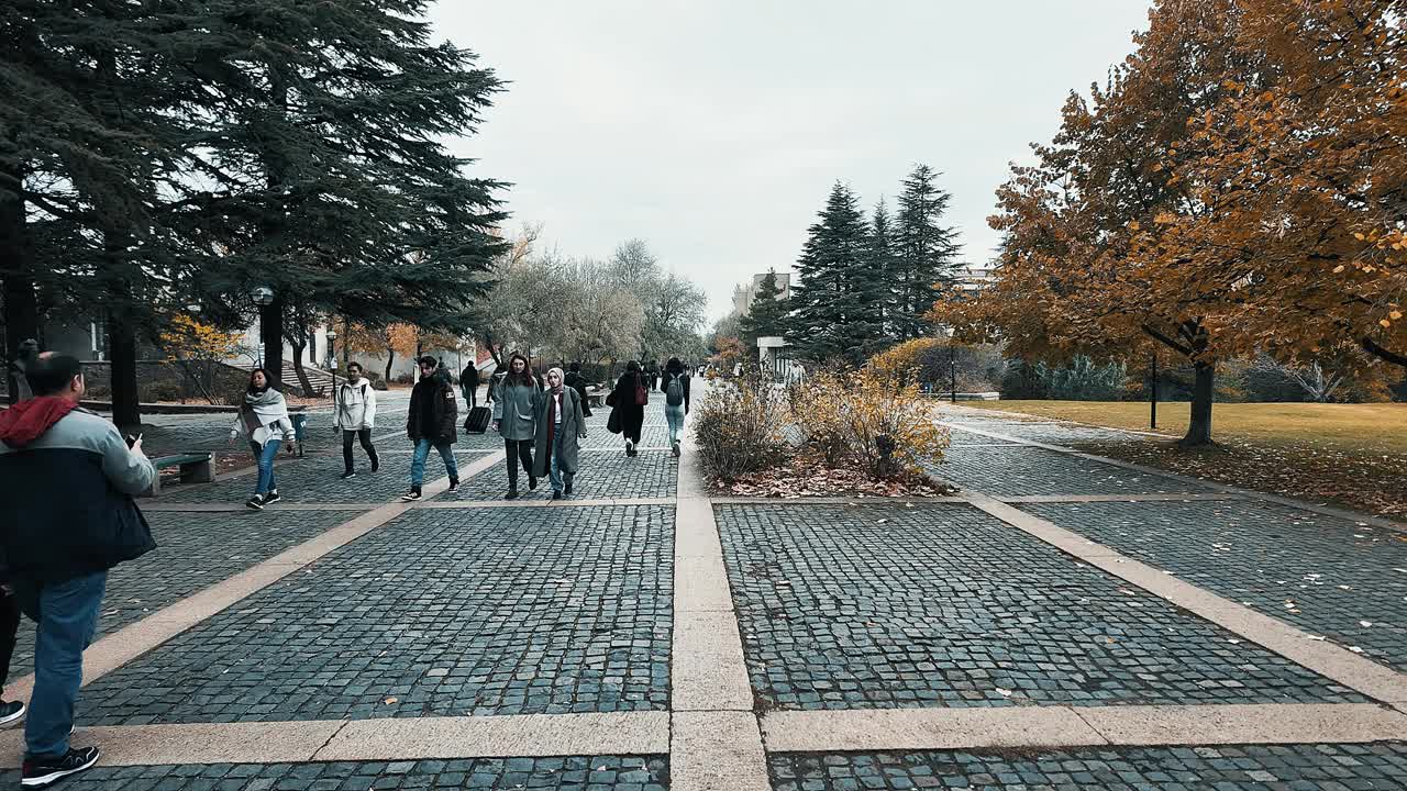 在校园里散步的大学生视频下载