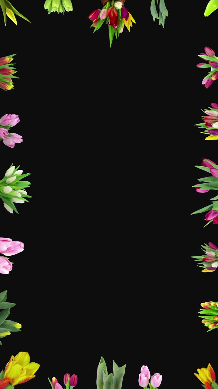 吹郁金香框架为一个快乐的复活节卡片视频下载