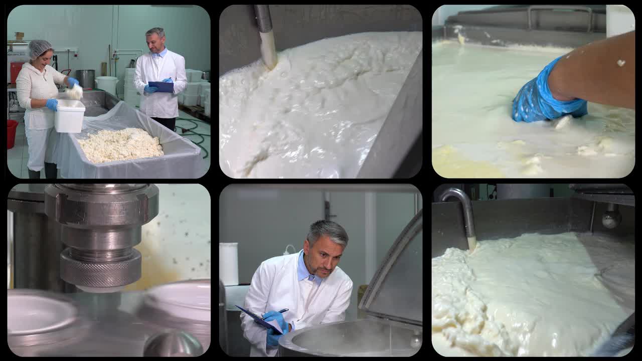 牛奶和奶制品的生产-多屏幕录像视频下载