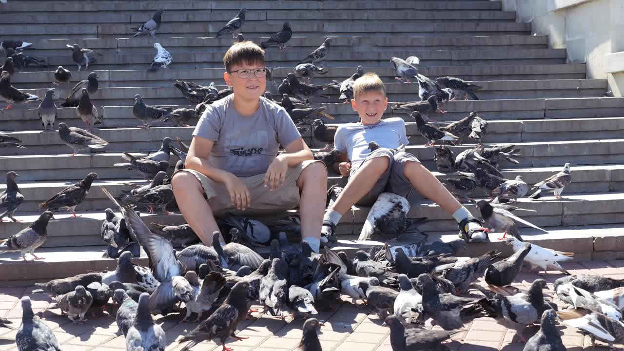 一个被鸽子包围的孩子。男孩喂鸟。孩子们与野生动物交流的乐趣。视频下载
