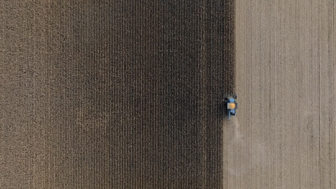 加拿大魁北克，拖拉机和农业机械收割玉米田的鸟瞰图。视频下载