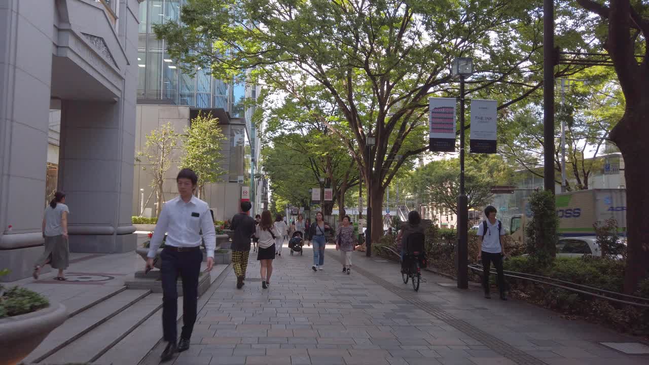 从步行的角度看。日本东京的表参道。视频下载