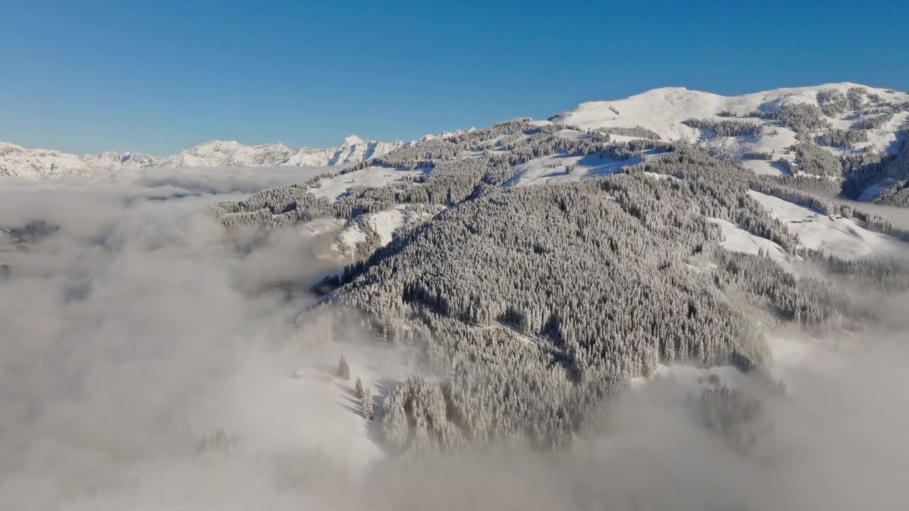 鸟瞰白雪覆盖的松树与雾视频下载