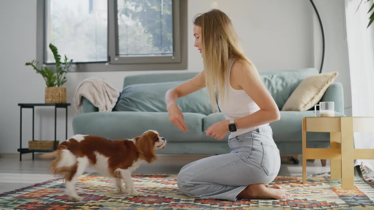 一名妇女在家里训练时给狗喂食。视频下载