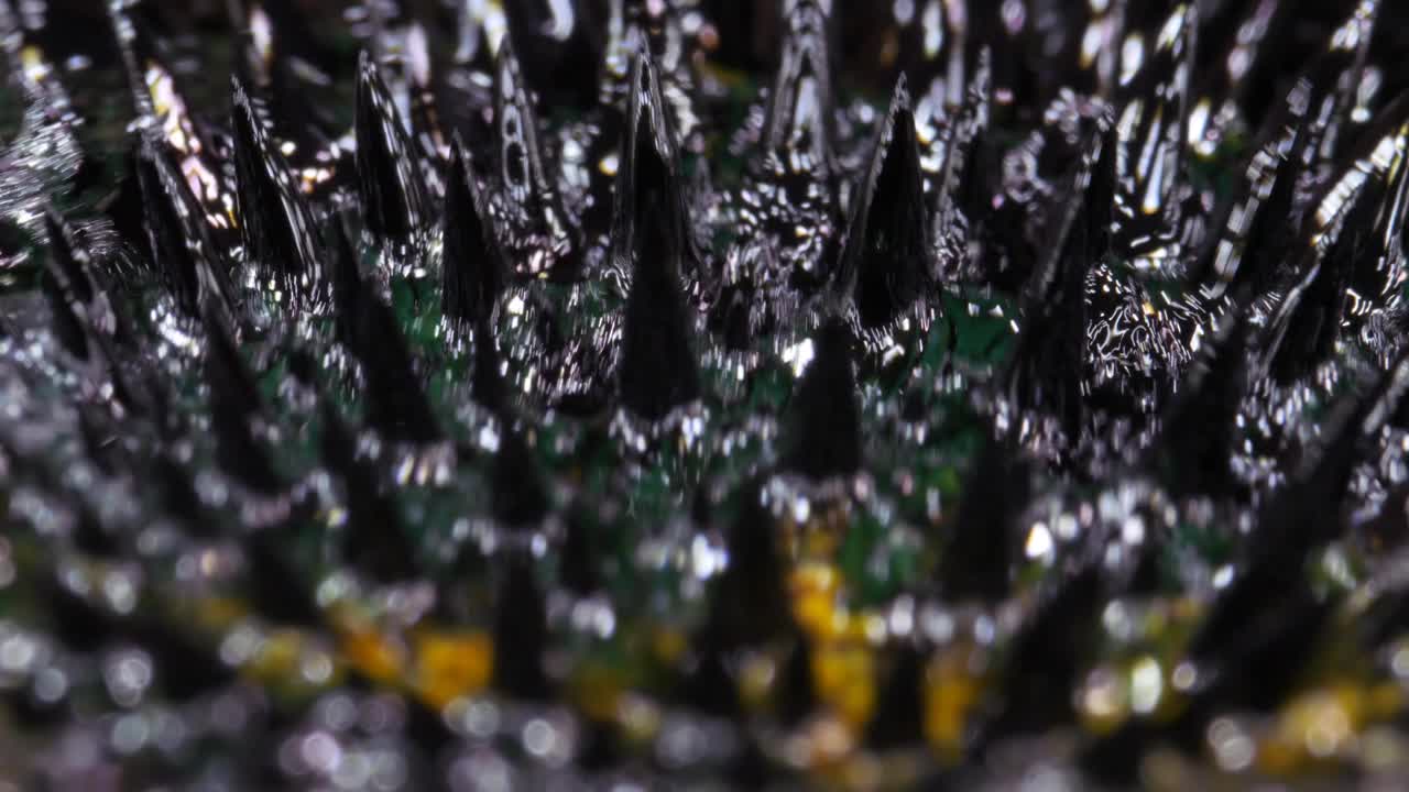铁磁流体用彩色涂料着色，黄色、绿色。黑色液体的表面。抽象的背景。视频下载