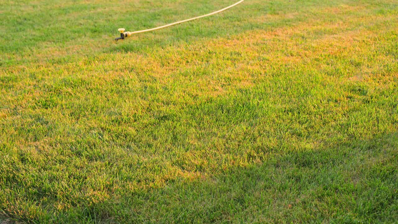 在傍晚，在日落时分，给草坪浇水视频下载