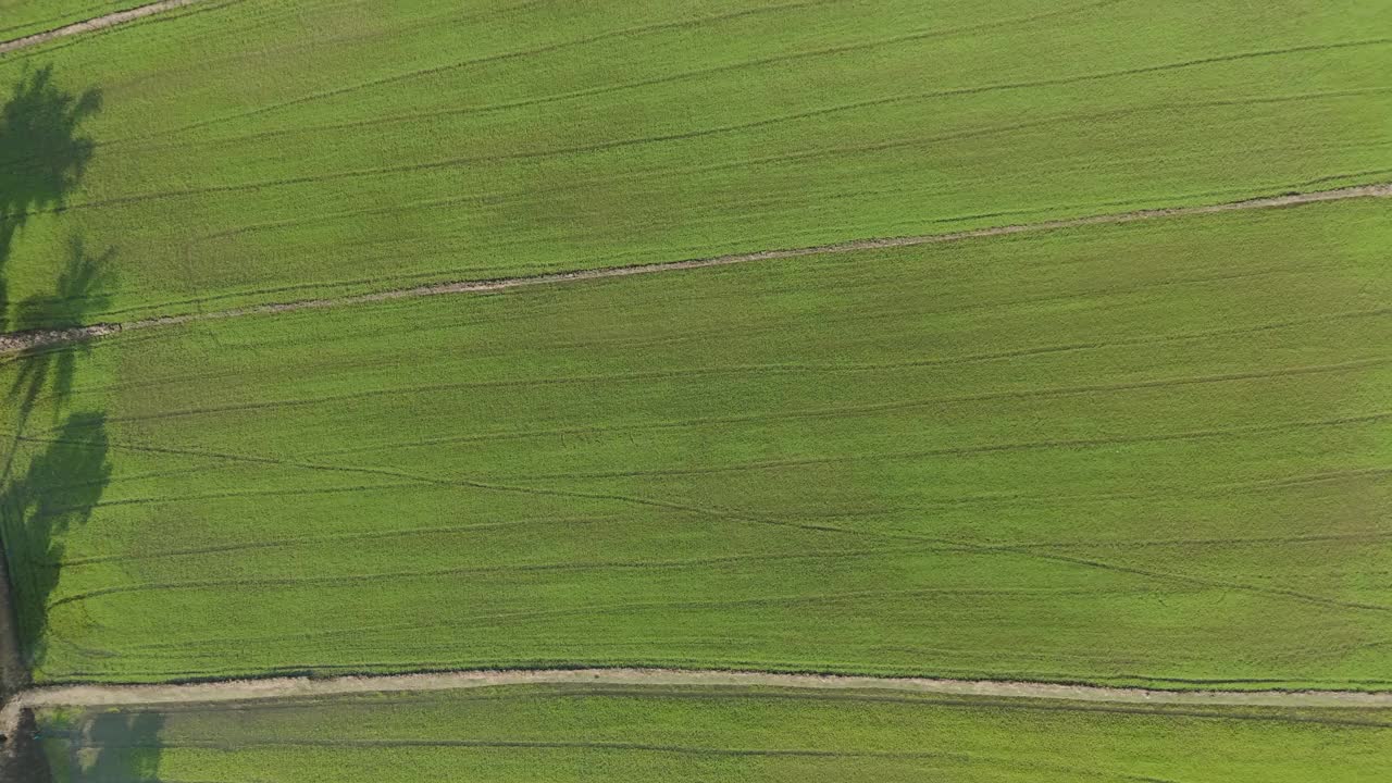 无人机拍摄的风景乡村农业鸟瞰图视频下载