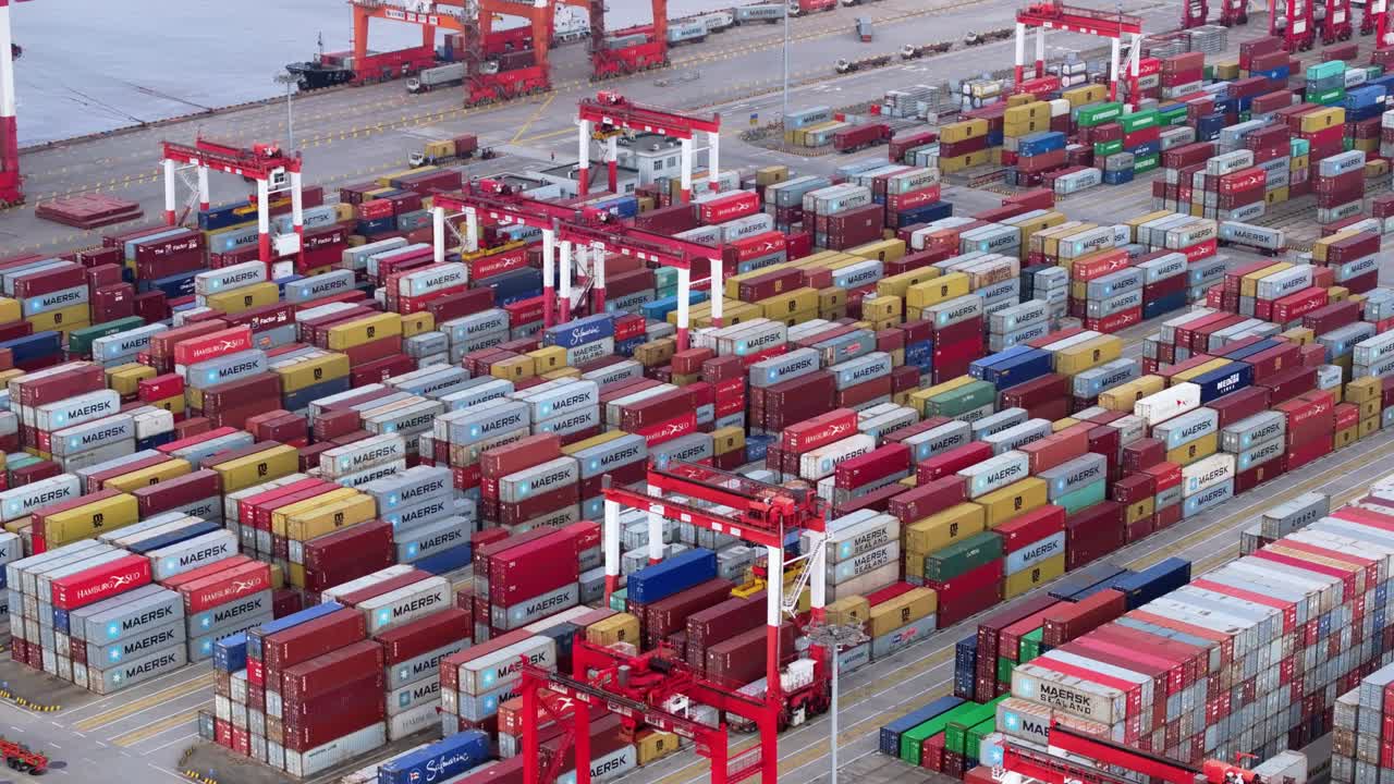 上海商港鸟瞰图，集装箱密集，起重机繁忙视频下载