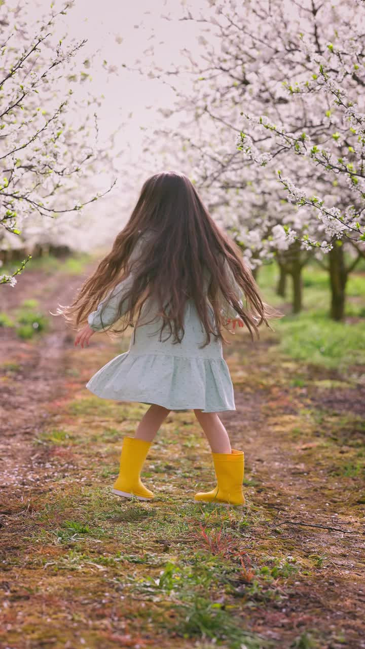 美丽快乐无忧无虑的女孩在盛开的春天果树下旋转在果园花园的4K视频视频下载