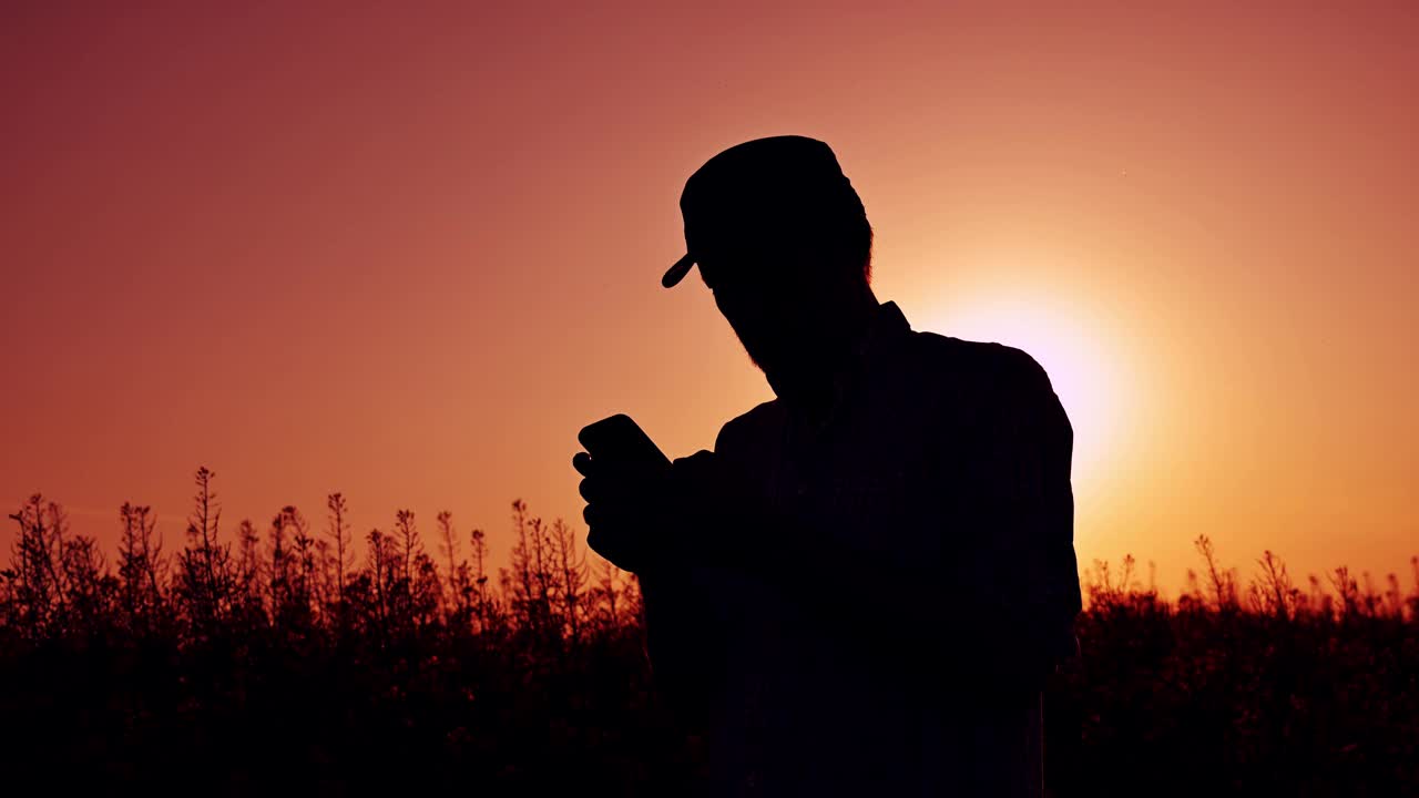 夕阳下，男农民在盛开的油菜籽地里使用手机的剪影视频下载
