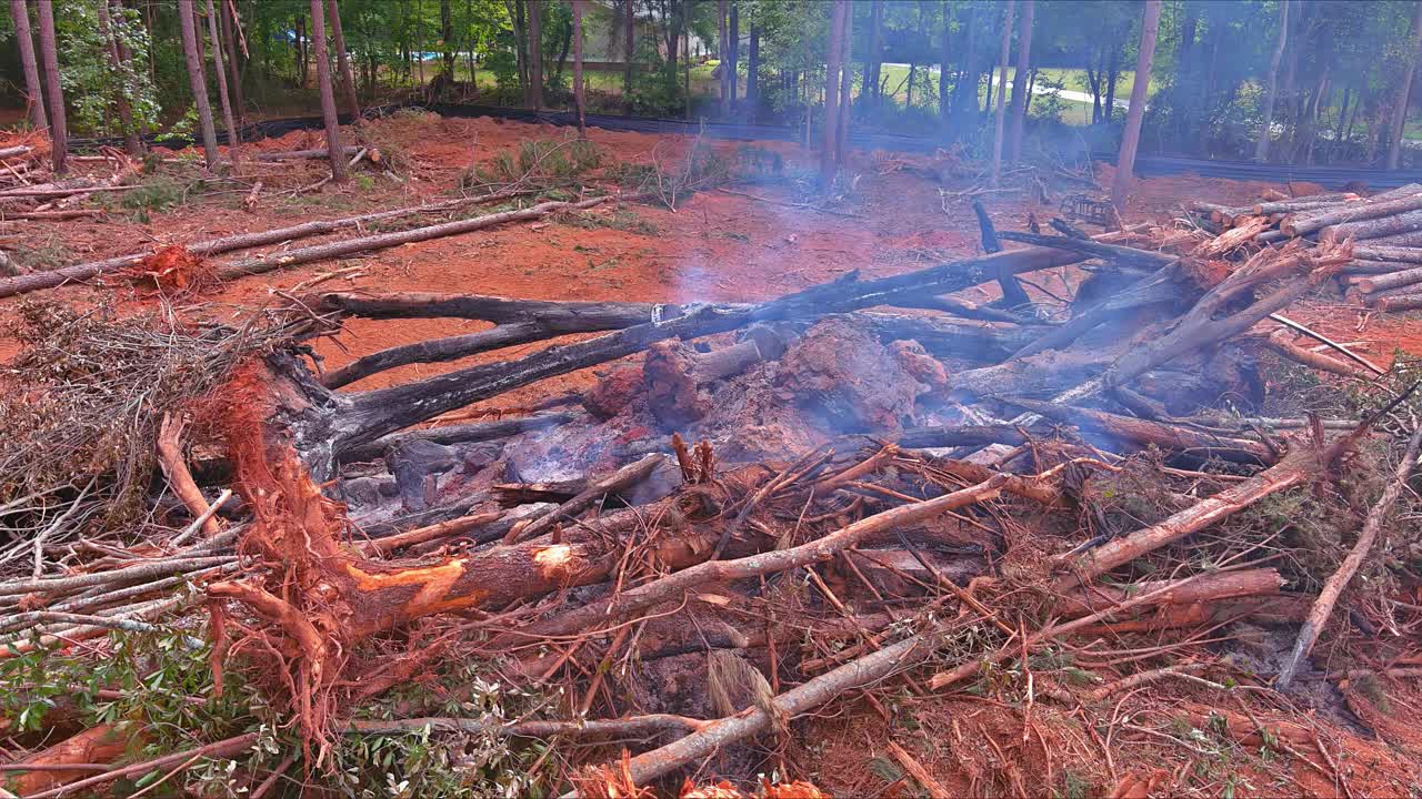 在准备土地建造房屋时，连根拔起的树木被烧毁视频下载