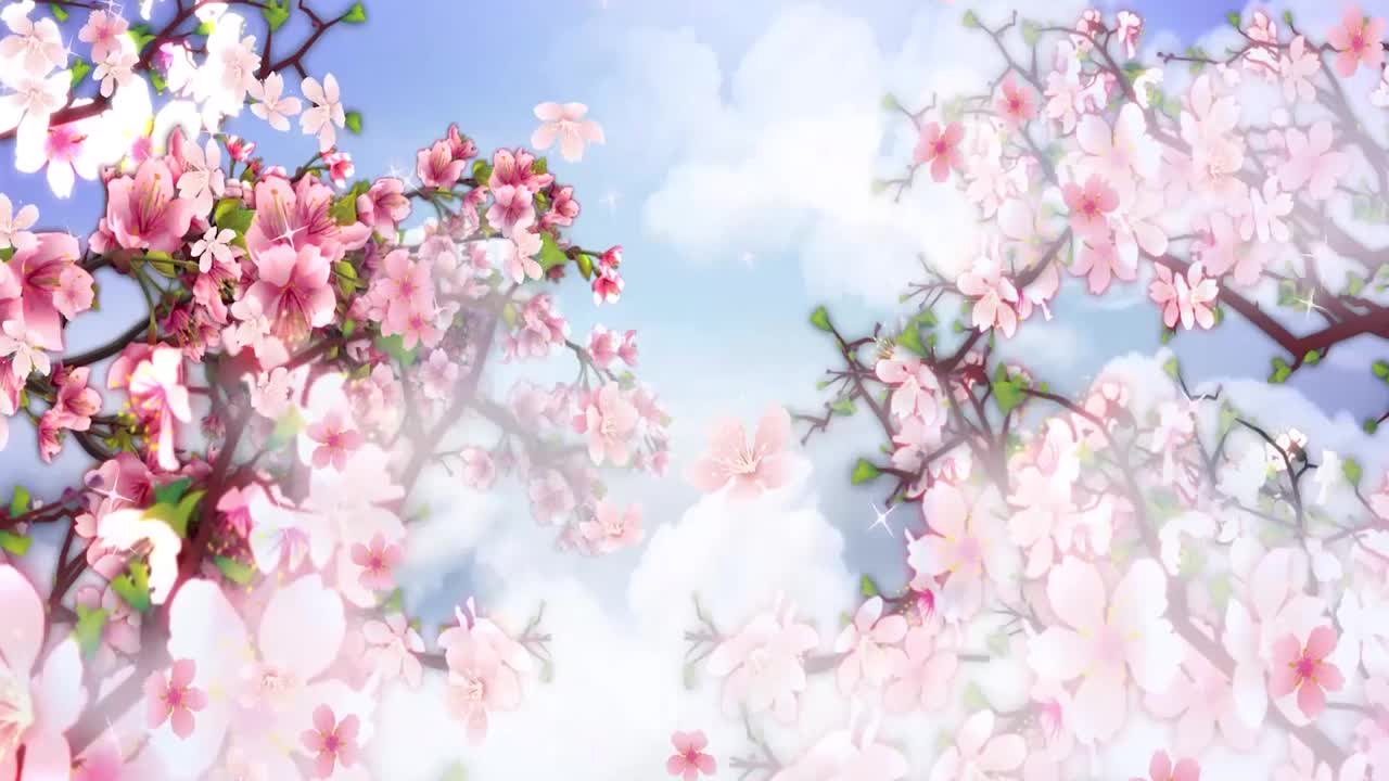 动画背景，美丽的粉红色玉兰花盛开的树在早春季节在公园晴朗的一天蓝天下视频下载