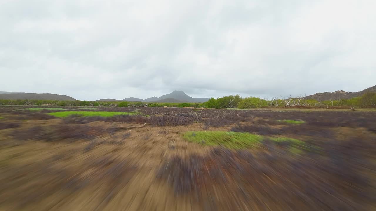 在加勒比海一个岛屿的平原上快速低空飞行视频下载