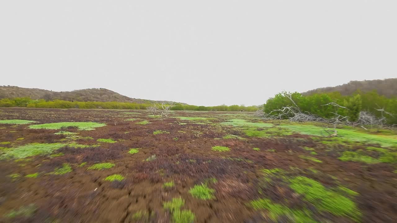 在加勒比海一个岛屿的平原上快速低空飞行视频下载