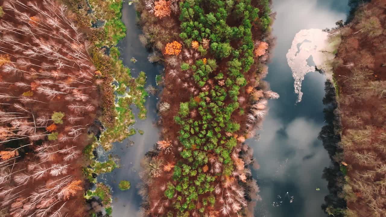 欧洲波兰深秋的森林和河流。视频下载
