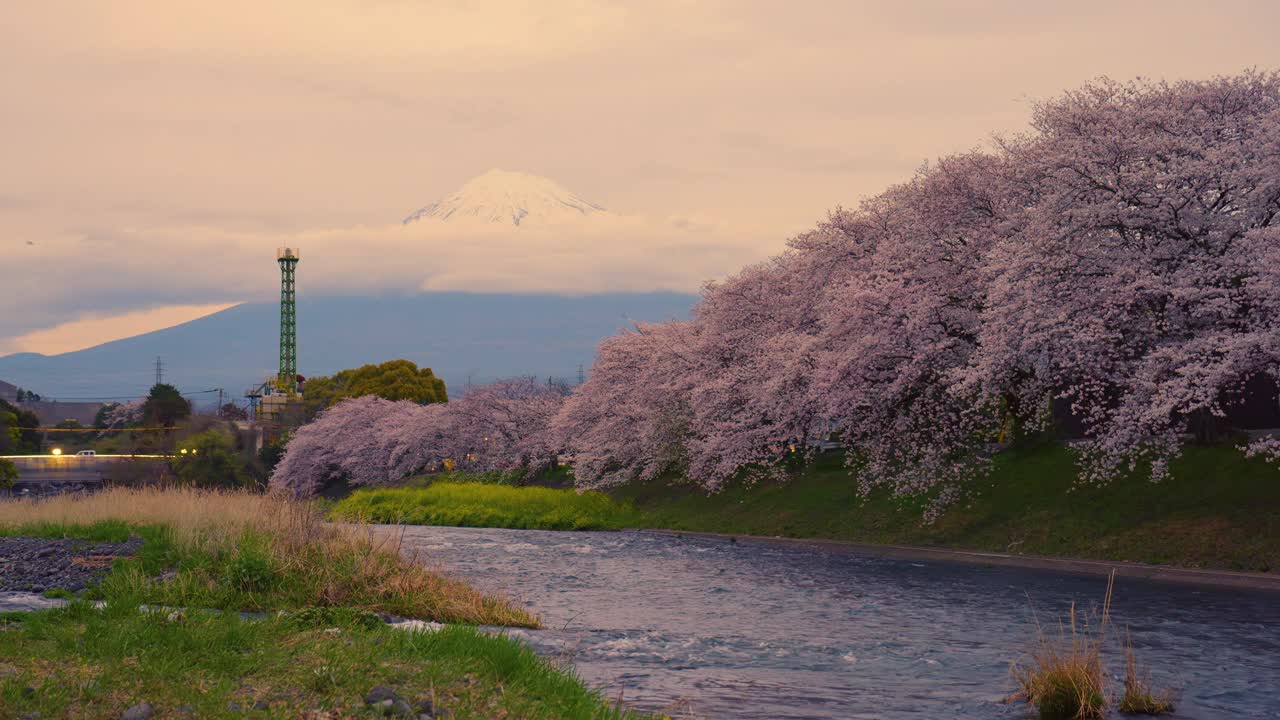 日本静冈县富士宫龙源口富士山日落和樱河樱花。视频下载