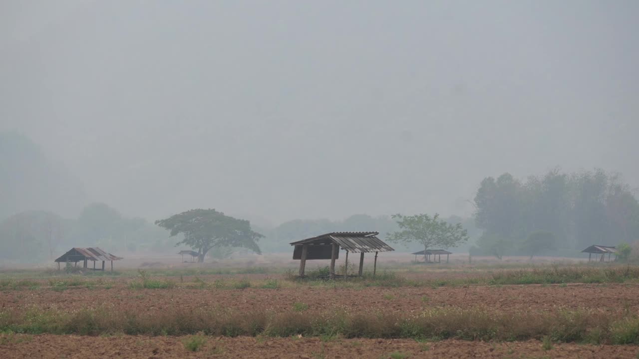 泰国清莱，在高空气污染期间，稻田和雾霾覆盖了Doi Nang norn山视频下载