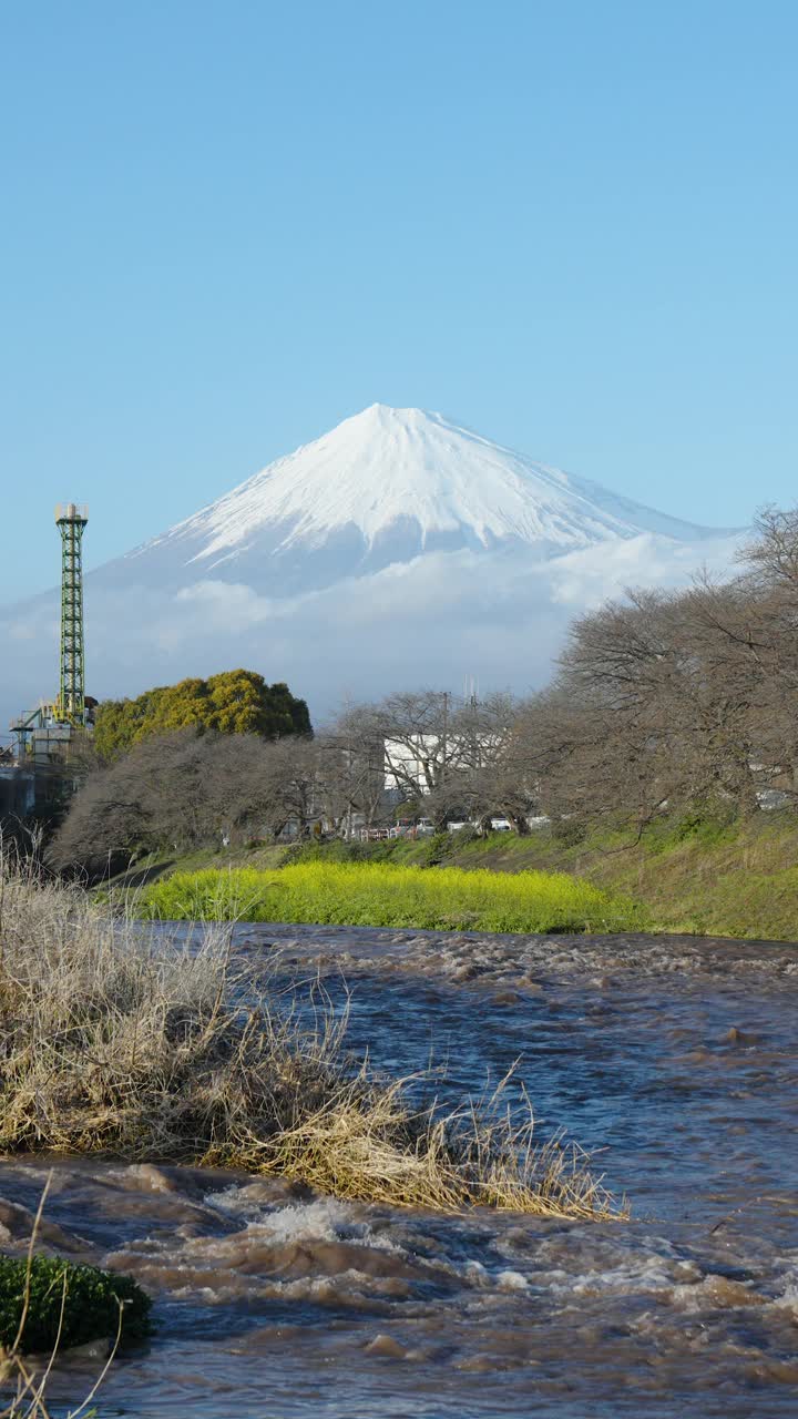 日本静冈县富士宫龙源口的富士山和樱花。视频下载