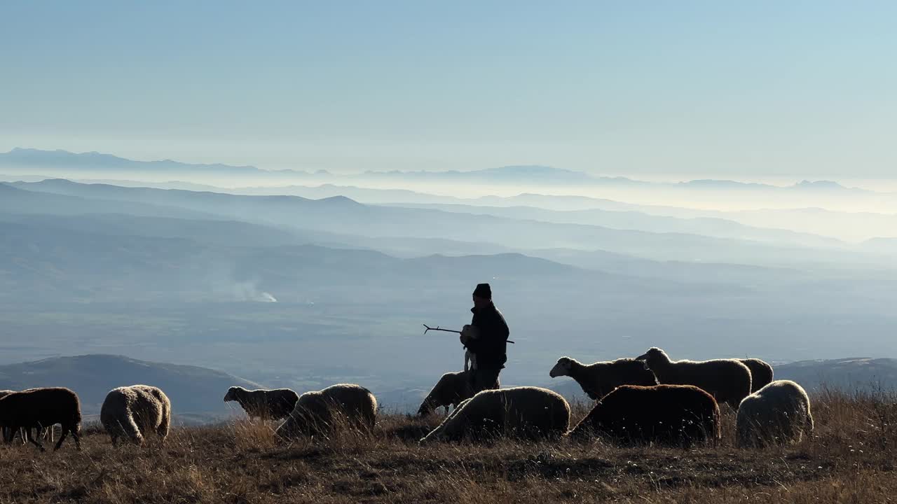 牧羊人的剪影与羊群走在高海拔的山地牧场与惊人的背景视图视频下载