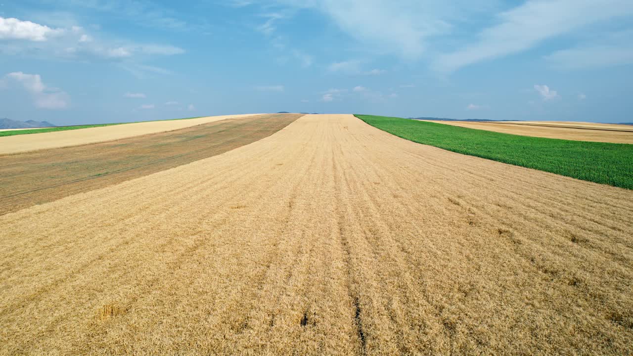鸟瞰图令人惊叹的田野与各种类型的农业视频下载