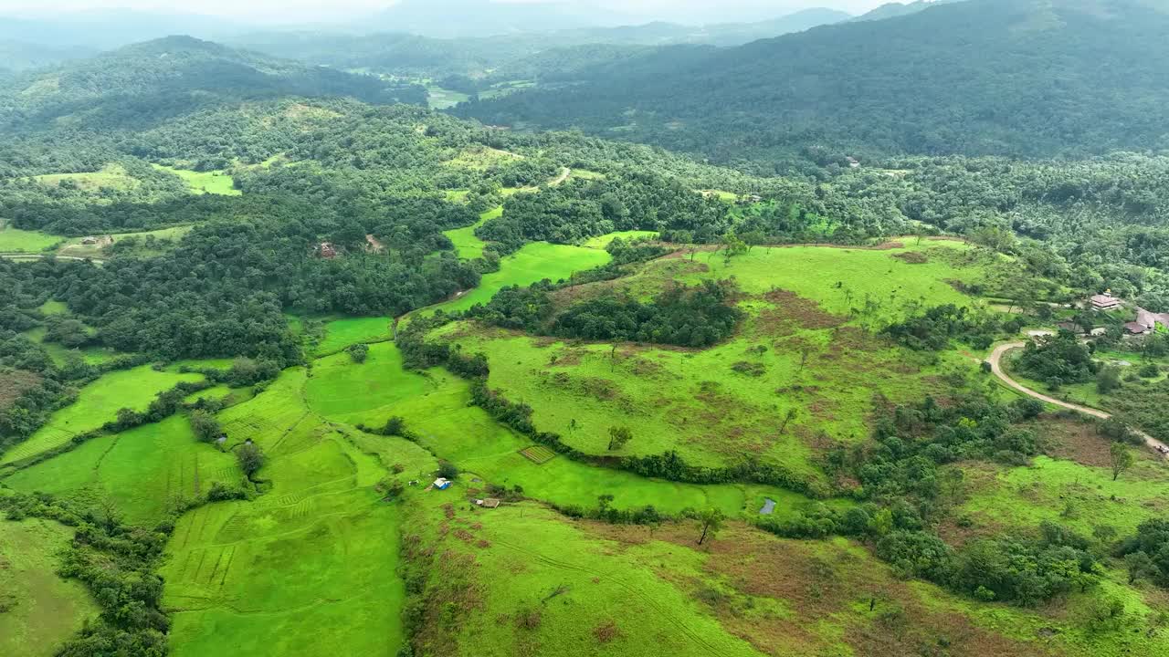 印度库格的美丽绿色景观视频下载