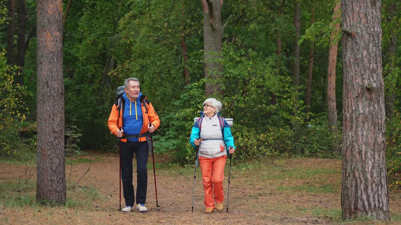 徒步旅游探险。老年夫妇，男人，女人，享受户外娱乐，在森林里徒步旅行，快乐的老人，背包客，徒步旅行者，享受徒步旅行，徒步旅行旅游，积极的假期，大自然的美丽视频下载