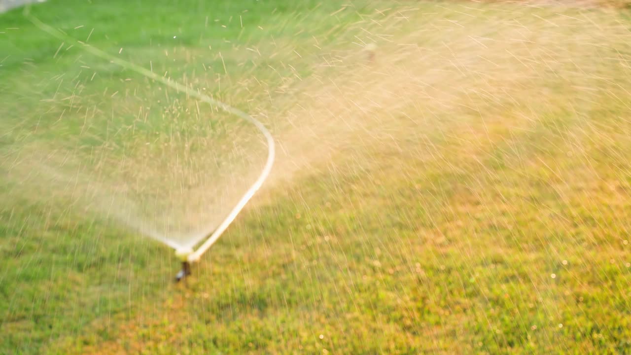 浇草软管连接到洒水器上用于浇草的软管夏季草坪护理视频下载