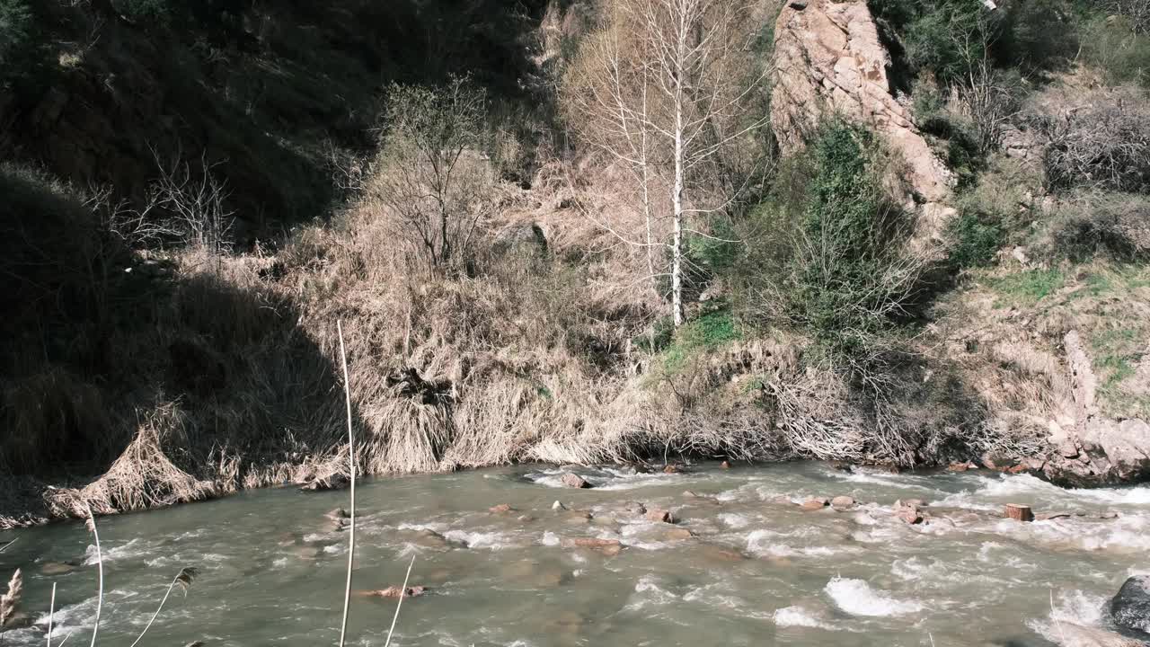 河流在春天的峡谷里流动视频下载
