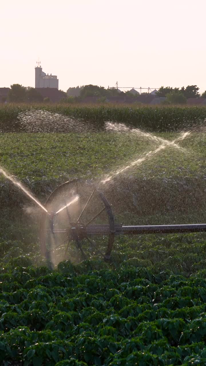 轮式喷灌系统在肥沃的农田灌溉作物视频下载