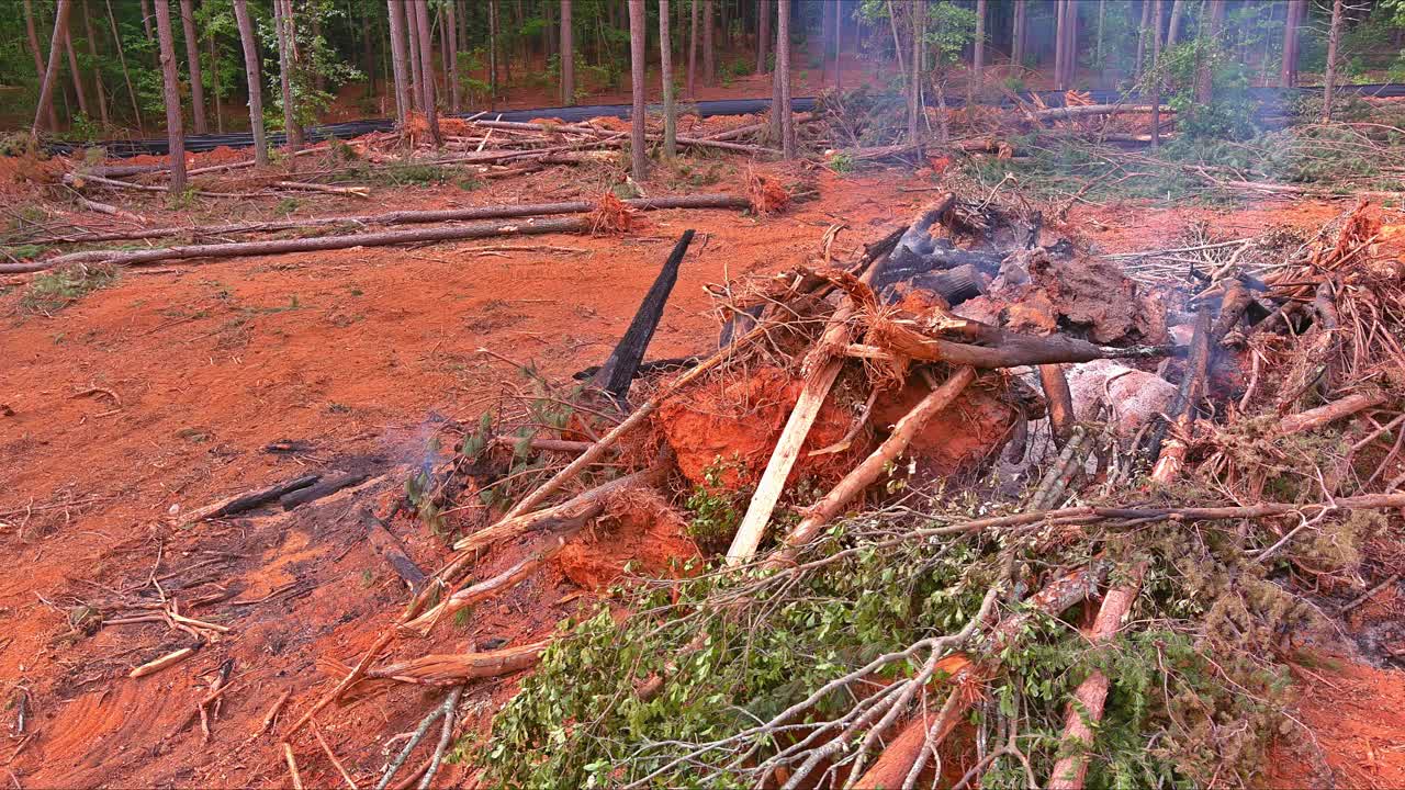 火灾是由于在准备建造房屋的土地时，连根拔起的树木被烧毁而引起的视频下载