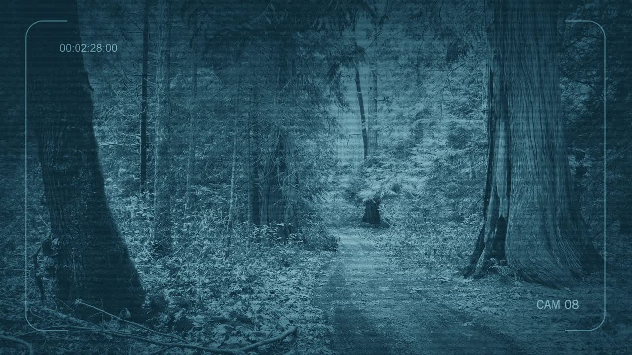 男子走在森林里的土路上视频下载