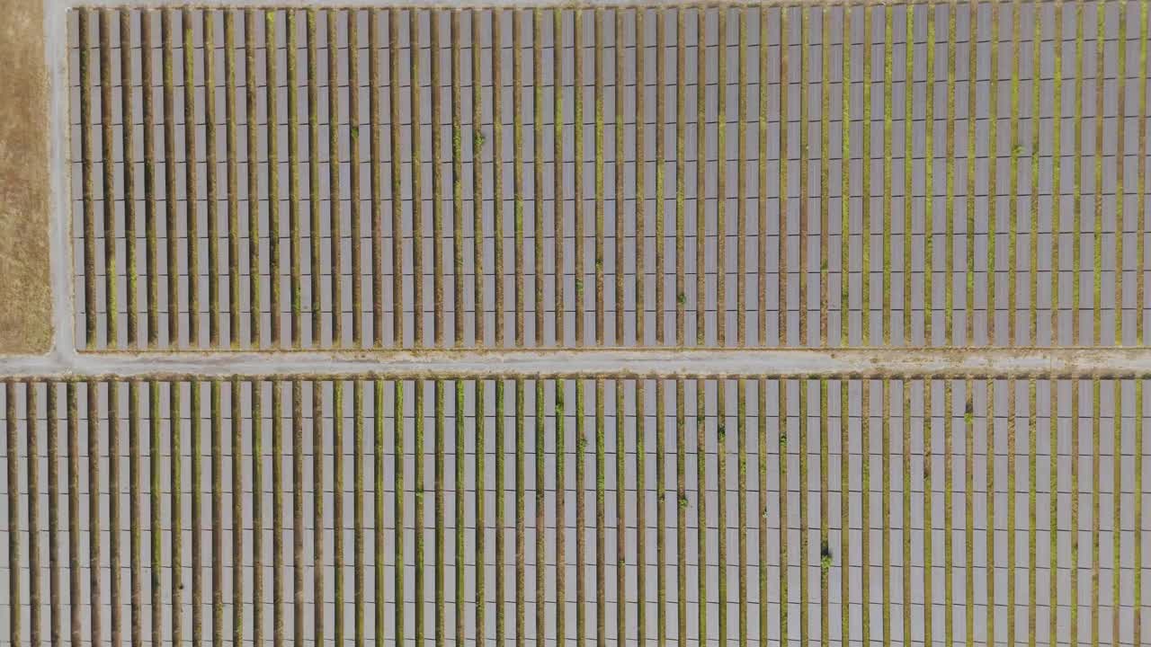 无人机拍摄的太阳能农场的太阳能电池板景观，用清洁能源替代能源发电视频下载