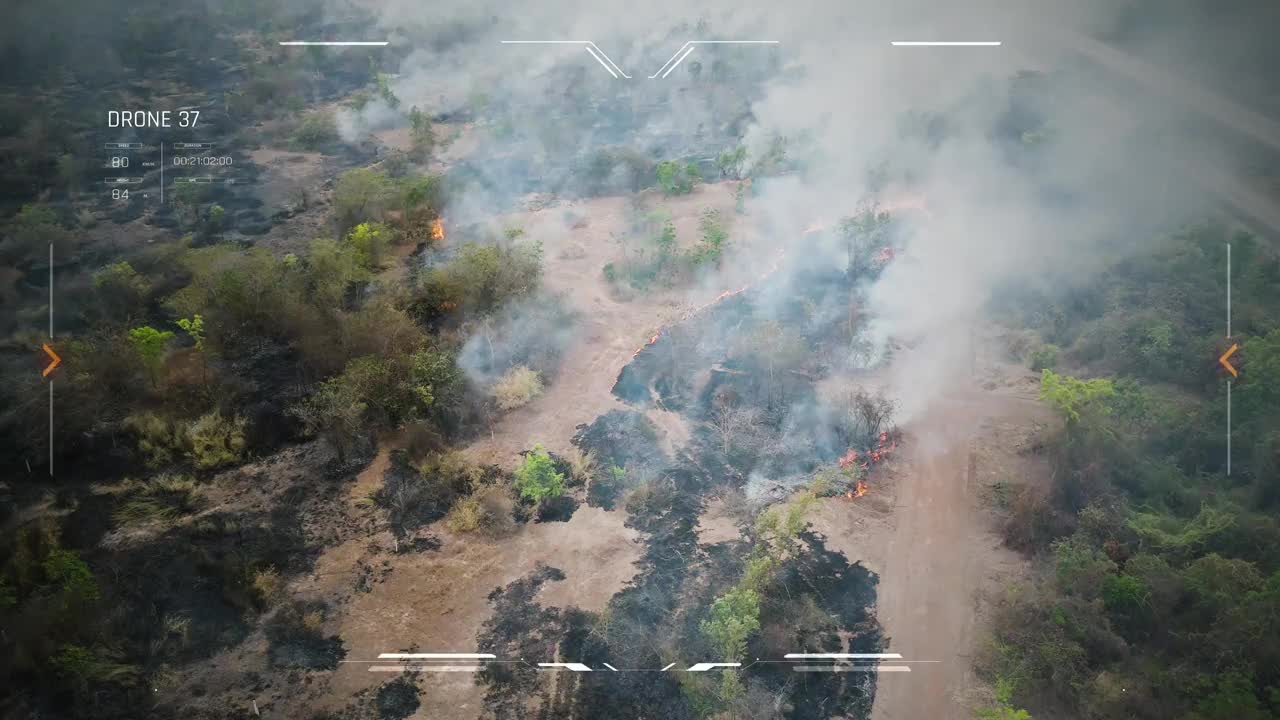 无人机拍摄的鸟瞰图显示，一场森林大火正在繁忙的高速公路旁燃烧。一团巨大的烟雾升起。旱季自然灾害视频下载