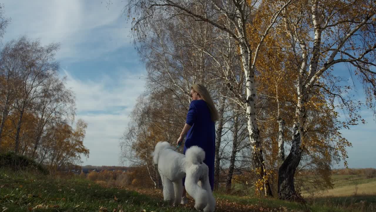一个女人和一只狗在草地上散步，享受着一个温暖的秋日视频下载