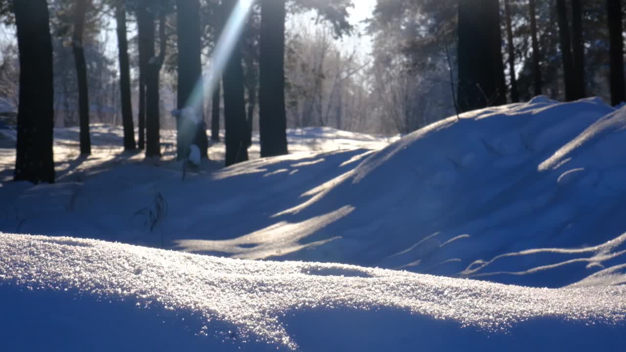 一个平静、寒冷的冬日景象。惊人的自然背景。日出时冰冻的树木。冬季仙境。田园诗般的自然视频下载