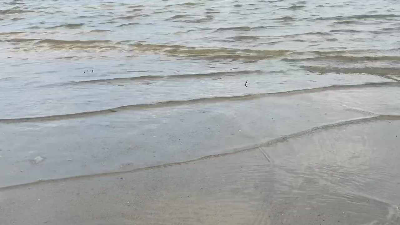 小波浪在海滩上翻滚的景象视频下载