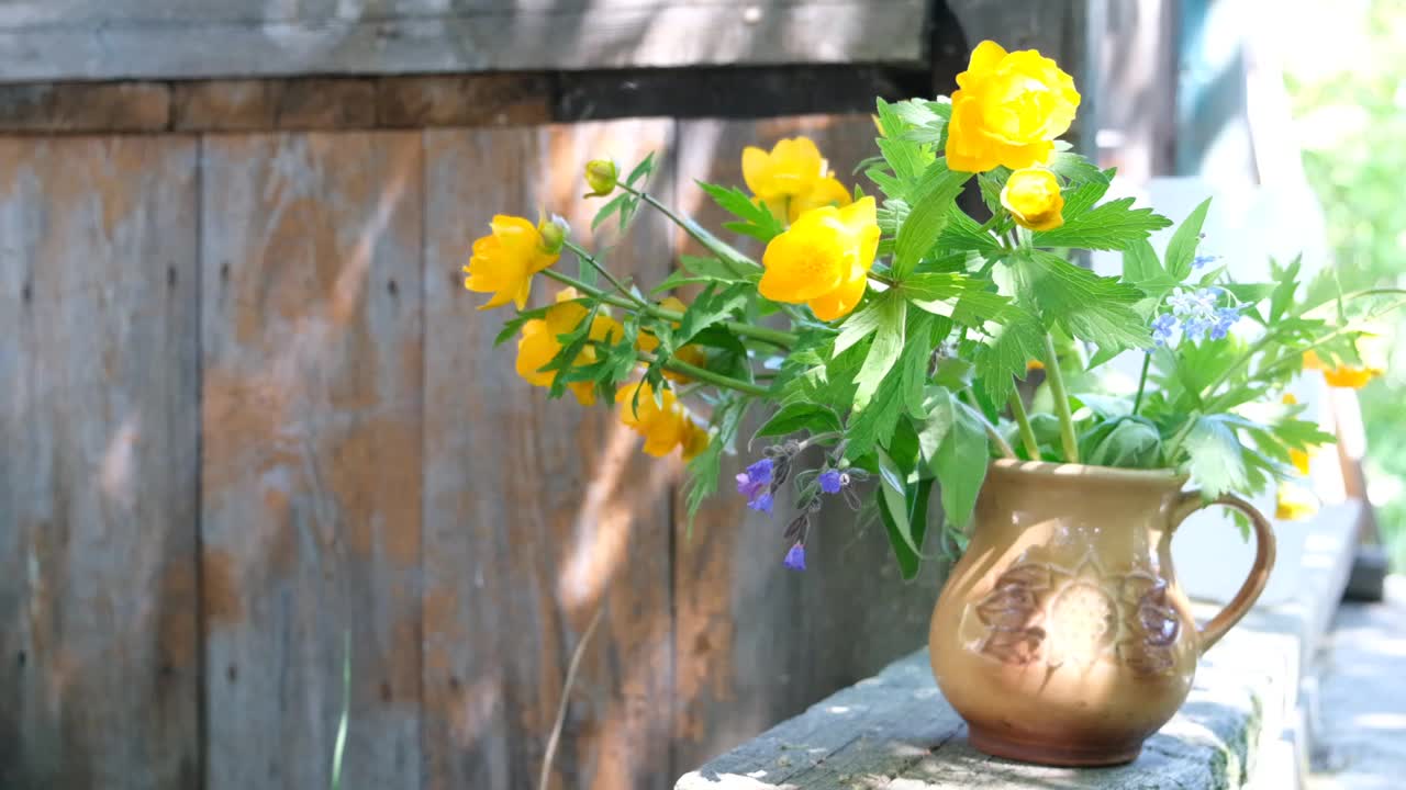质朴的静物，夏日的花朵在古老的陶土里。乡村生活的静物画视频下载