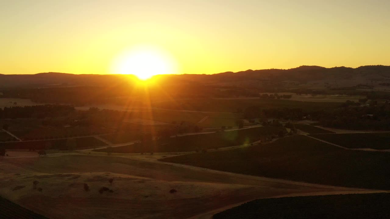 巴罗萨山谷的葡萄园升起了太阳视频下载