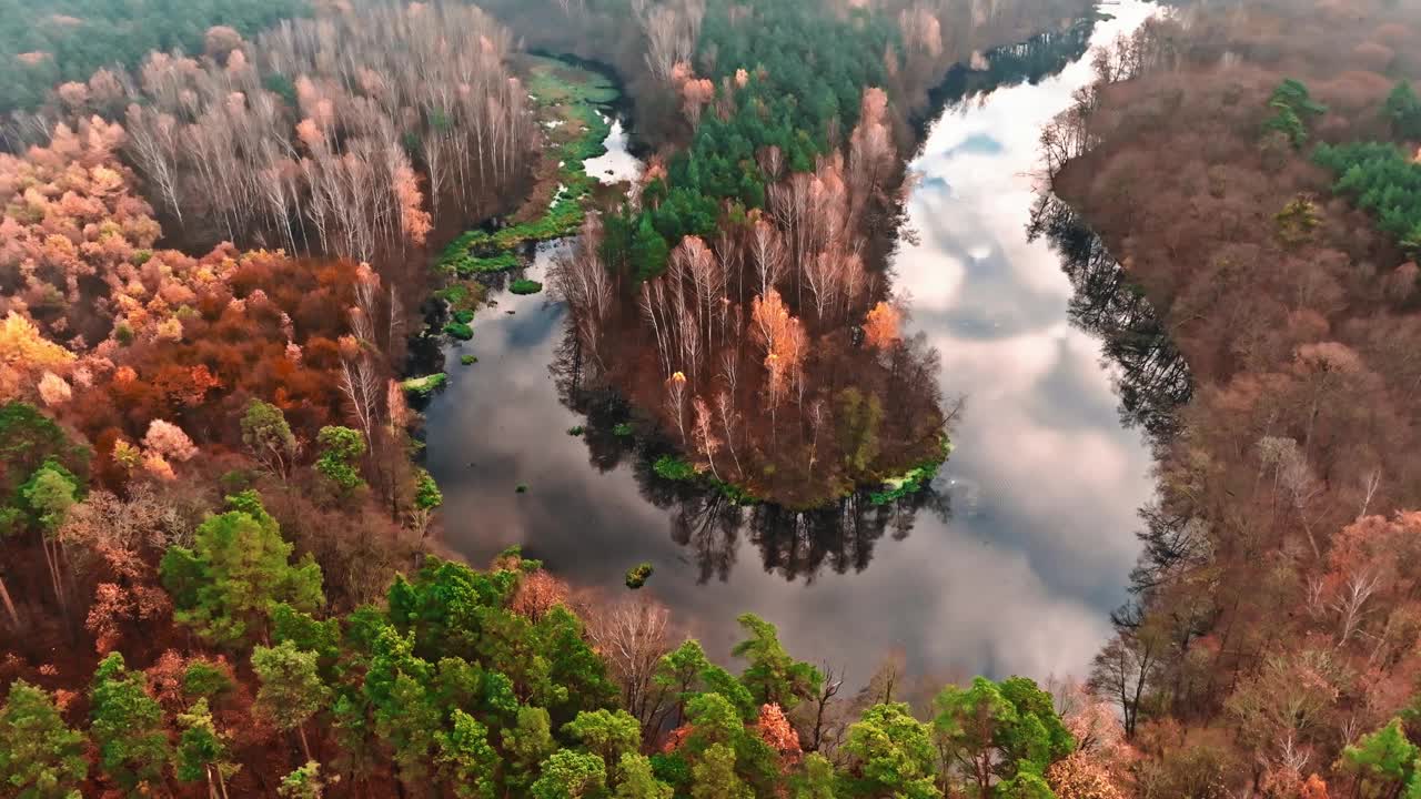 欧洲，波兰，雾蒙蒙的秋天，蜿蜒的河流和森林。视频下载