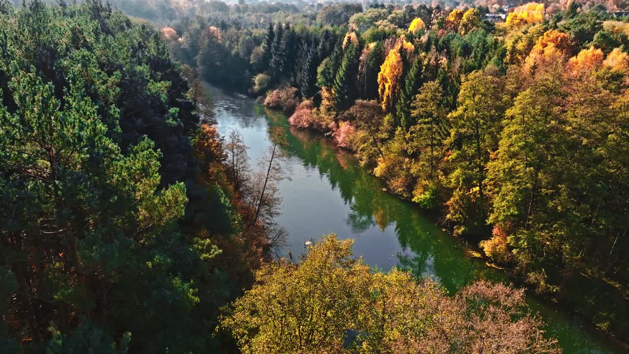 波兰，秋天日出时多彩的森林和布尔达河。视频下载