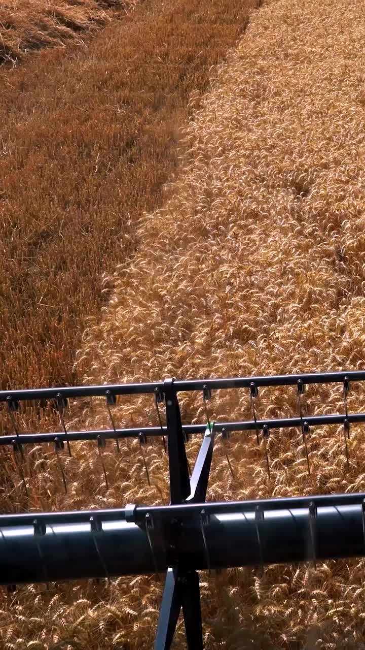 小麦收割时，从联合收割机的机舱看过去——摇摄镜头视频下载