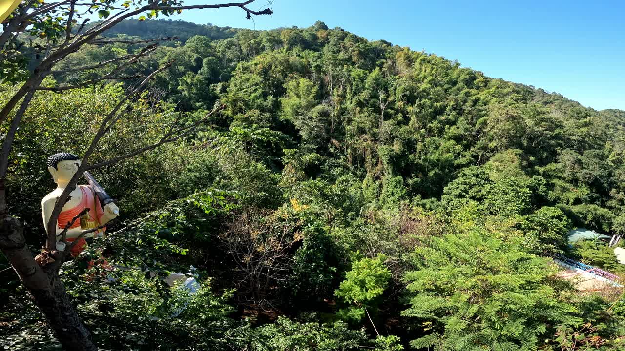 春天绿树的山景视频下载